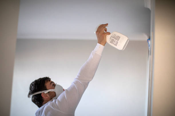 Best Professional Mold Removal  in Galena, KS