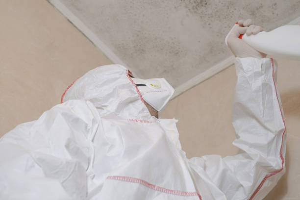 Best Mold Inspection  in Galena, KS