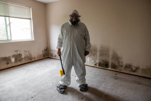 Best Mold Testing  in Galena, KS